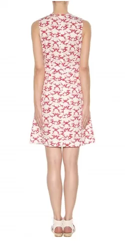 Dainty Printed Dress