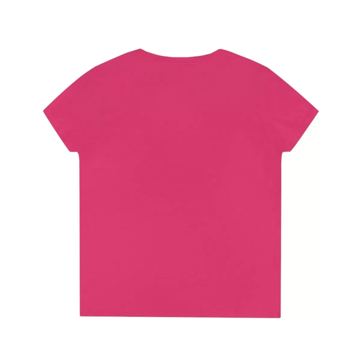 Forge & Flourish Ladies' V-Neck T-Shirt